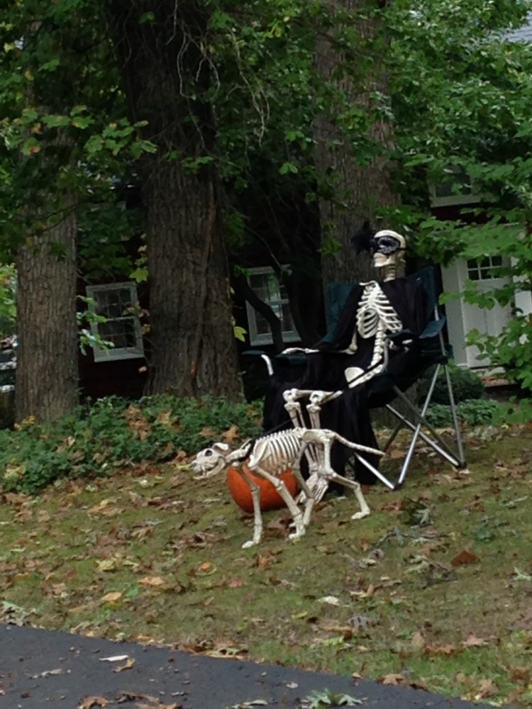 historic downtown franklin village halloween decorations skeleton