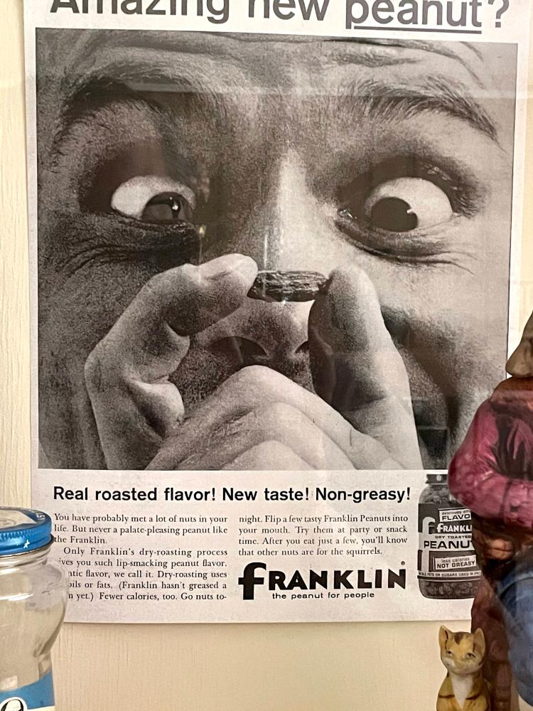 Franklin Village Michigan Photo dry toasted peanuts