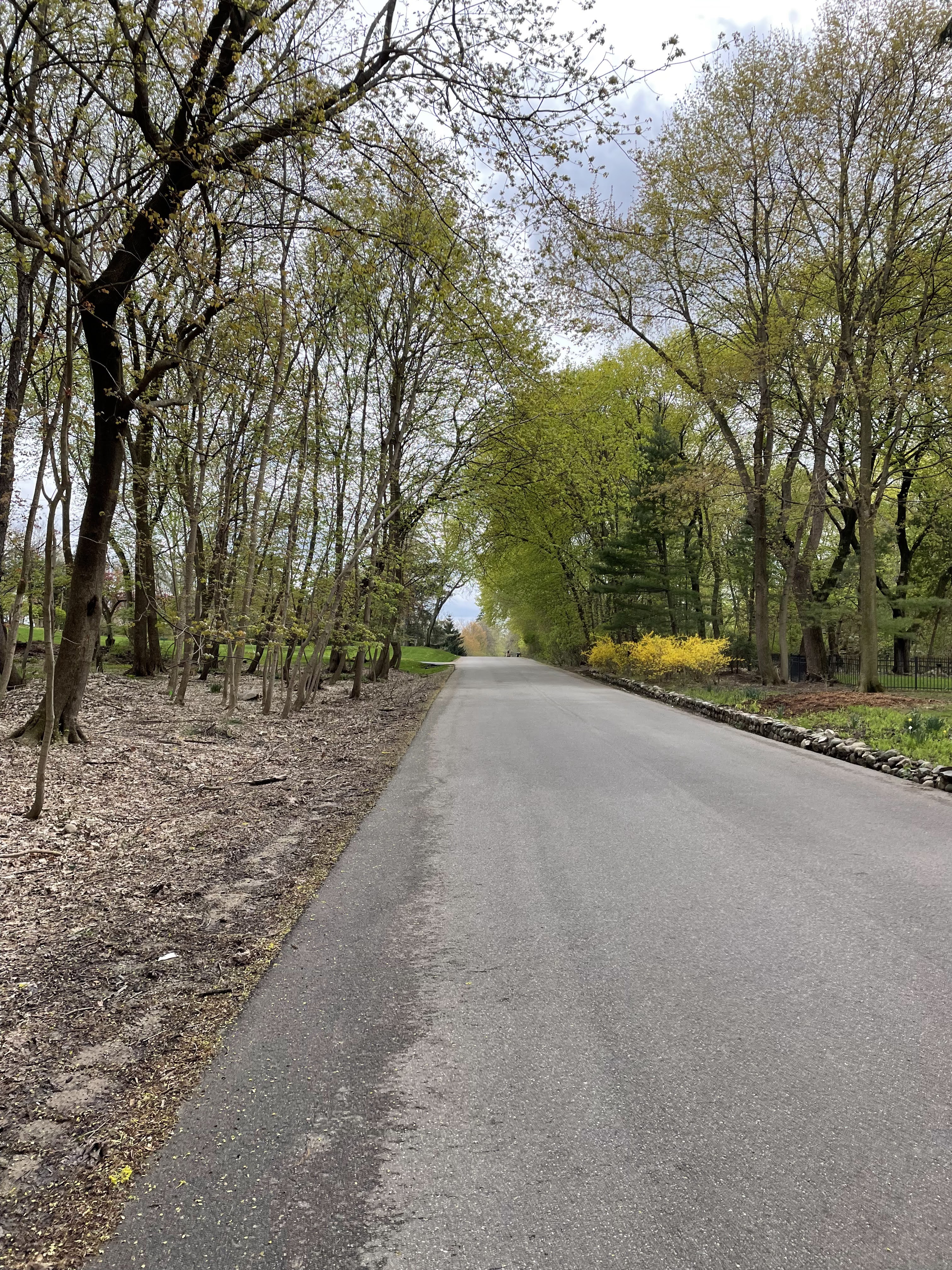 Franklin Village Michigan Photo street early spring wellington